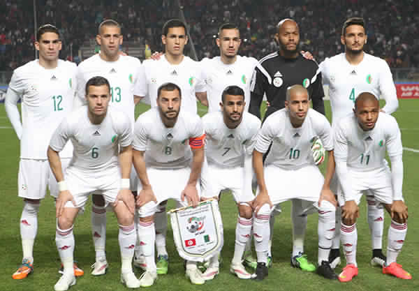 50 ألف دولار مكافأة كل لاعب جزائرى بعد التأهل لربع نهائى أفريقيا