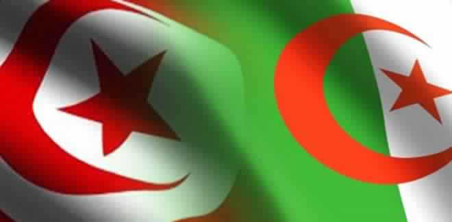 تعرف على الارقام الرسمية للاعبي المنتخب الجزائري و التونسي في نهائيات كأس أمم افريقيا 2015