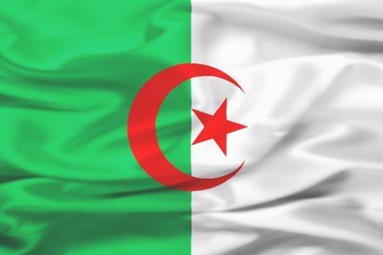 “الخضر” يواجهون غينيا والسينغال وديا شهر أكتوبر المقبل