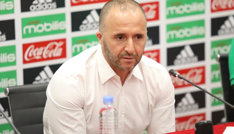 جمال بلماضي يكشف عن قائمة لاعبي منتخب محابو الصحراء